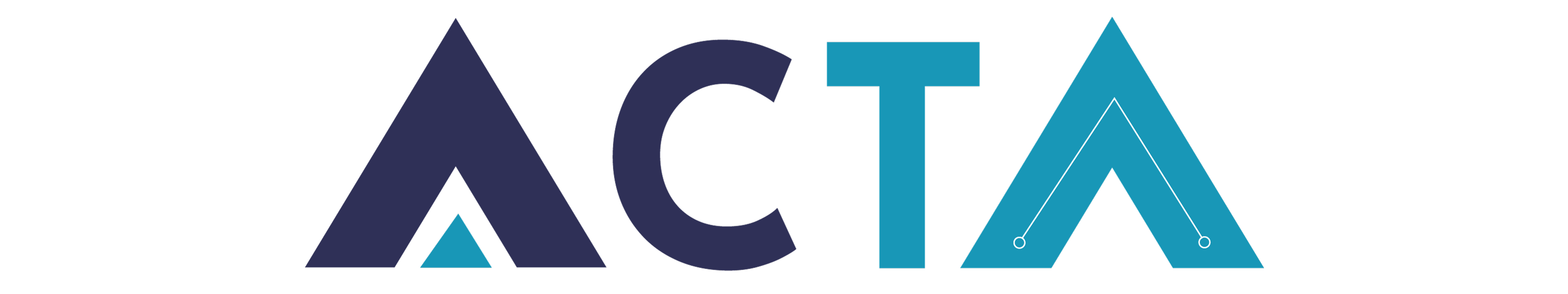 ACTA TECHNOLOGY SRL 